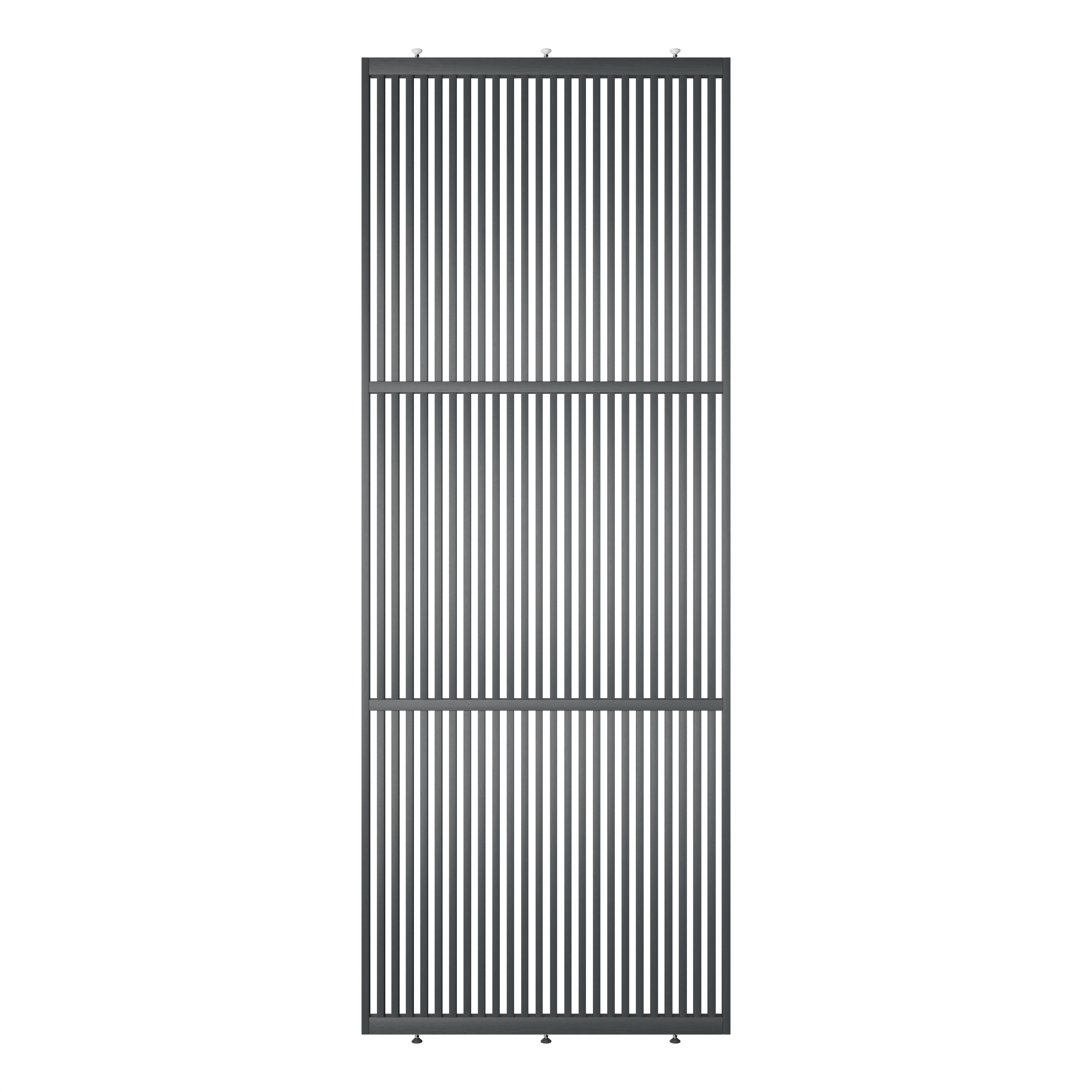 ORIGINAL® EIKEN RAL7021 GELAKT