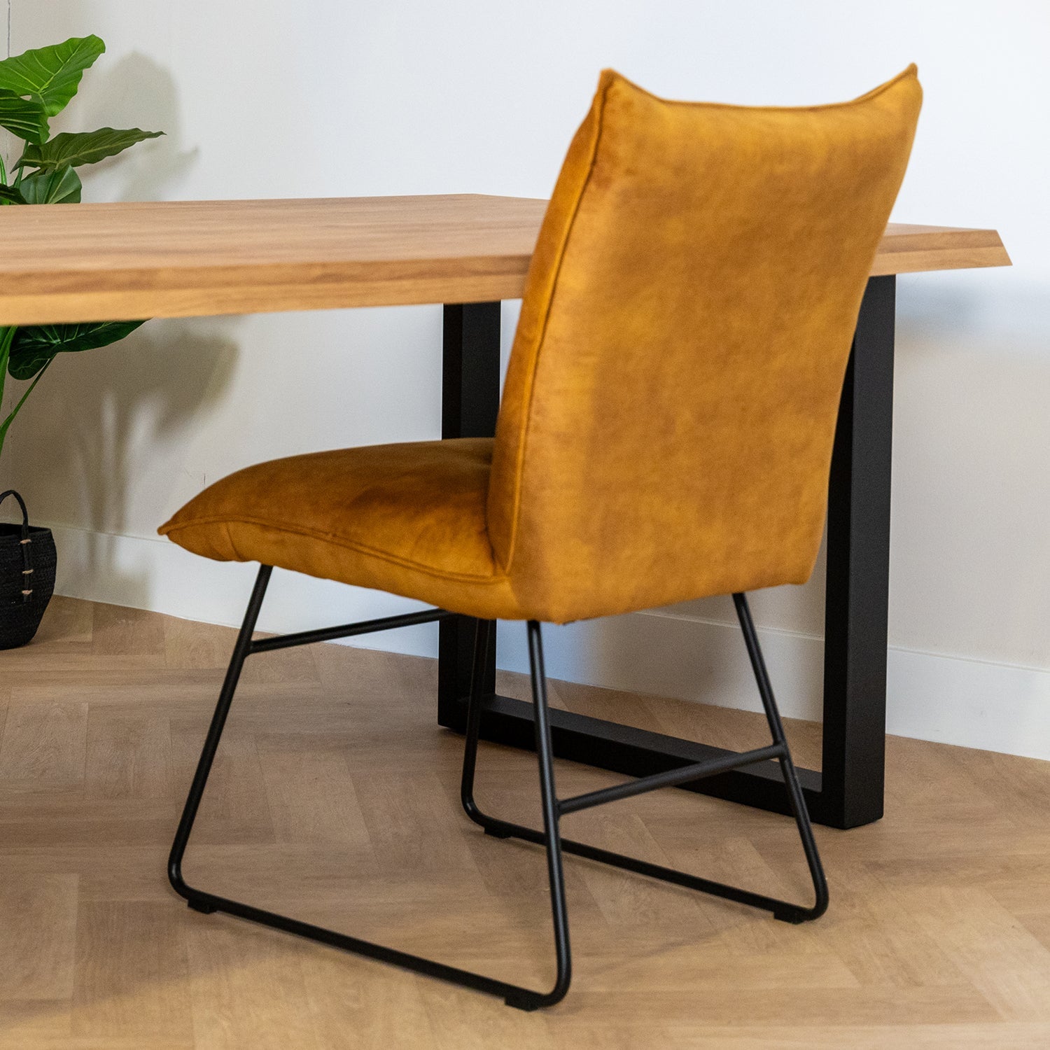 Eetkamerstoel Ivo Adore | Oker | Magazijn leegverkoop